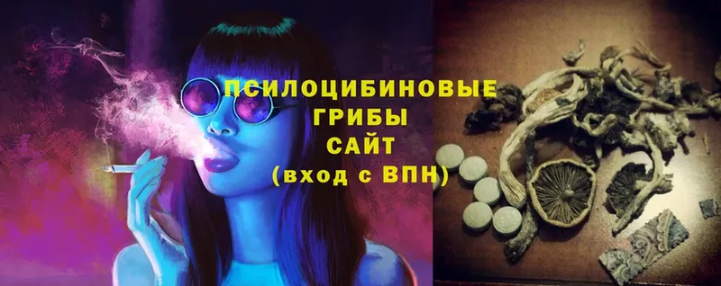 Галлюциногенные грибы Magic Shrooms  Белинский 